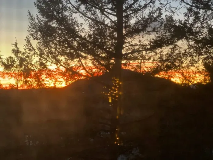 Breathtaking sunset view over the forested mountains, a picture-perfect end to your day in the Rockies.