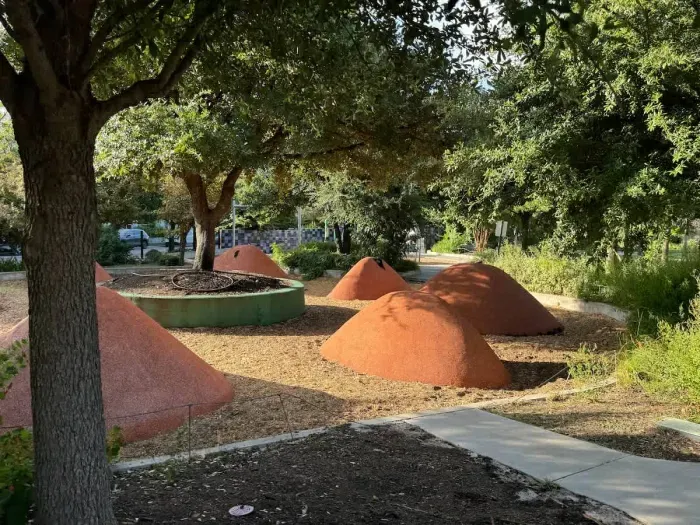 There are parks and playgrounds all over Austin!