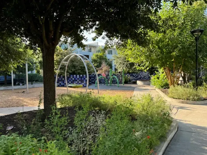 There are parks and playgrounds all over Austin!