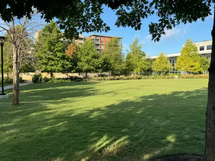 Urban tree lover's paradise! The perfect place to discover Austin! Close to UT, bars, restaurants and shopping!