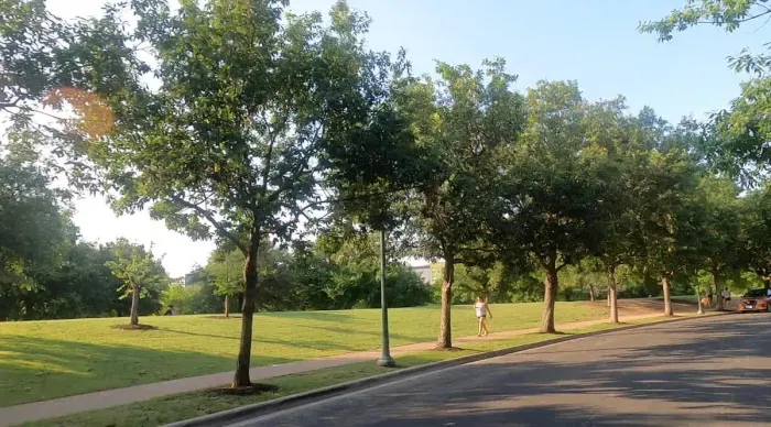 Urban tree lover's paradise! The perfect place to discover Austin! Close to UT, bars, restaurants and shopping!