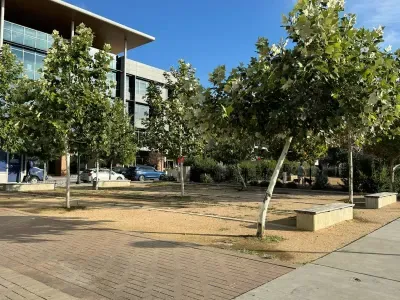 Urban tree lover's paradise! The perfect place to discover Austin! Close to UT, bars, restaurants and shopping!