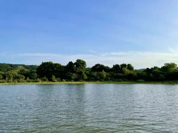 Enjoy a stunning view from the water, with the serene reflections of the surrounding landscape creating a peaceful and picturesque scene. The gentle ripples enhance the beauty of the environment, offering a calming perspective of nature.