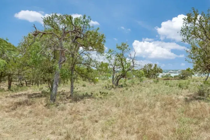 20 Wooded Acres on the water