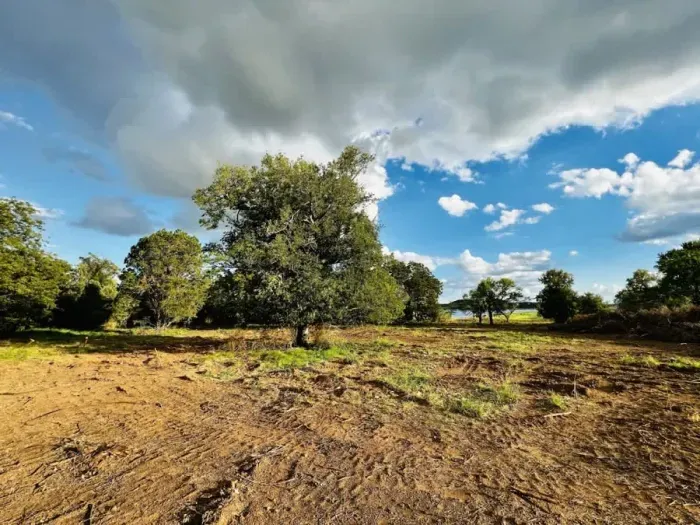 Experience the beauty of vast land, surrounded by lush trees and an expansive blue sky. The open space offers a peaceful, natural retreat, perfect for outdoor activities or simply enjoying the tranquility of nature.