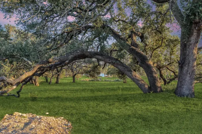 20 Wooded Acres on beautiful lake Buchanan