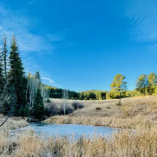Enjoy the serene view of a peaceful pond just across the street. Surrounded by nature, the calm waters and scenic surroundings provide a tranquil escape, perfect for relaxation or a quiet stroll.