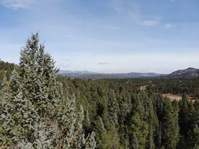 Drone Shot above the house
