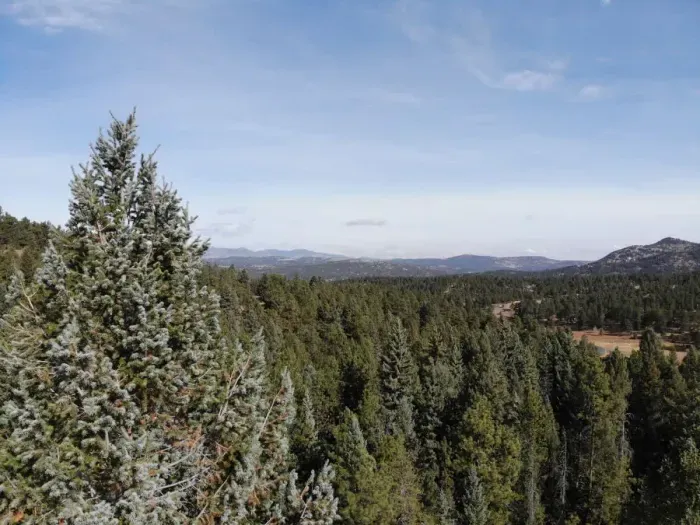 Drone Shot above the house