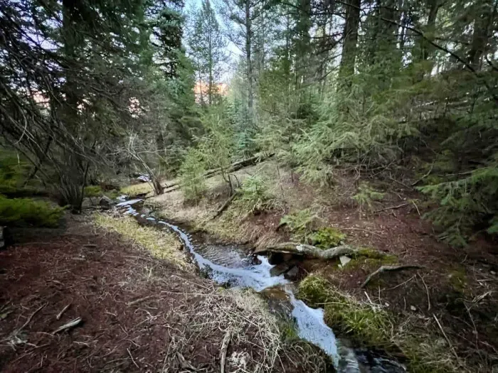 5. You can hear the creek for about half the year.