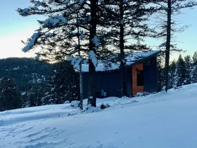 Record snow 3/2019
