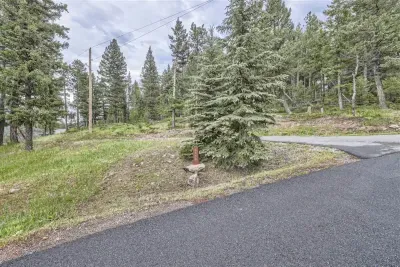 Driveway entrance in summer months