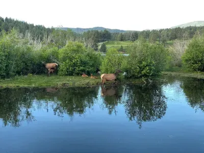 Gorgeous Lake Evergreen is only 7-10 min away.  Hiking trail, fishing, ice skating, paddle boarding, restaurants...