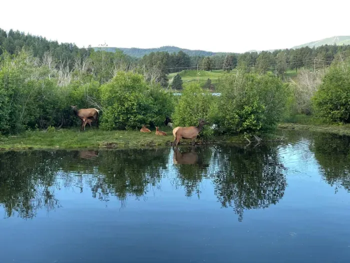 Gorgeous Lake Evergreen is only 7-10 min away.  Hiking trail, fishing, ice skating, paddle boarding, restaurants...