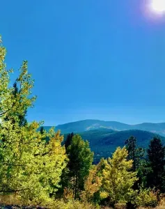 Fall is beautiful!
