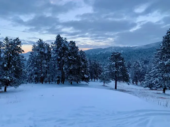 View from Deck-Record snow 3/2019