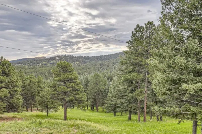 The front of the house in the summer months, surrounded by lush green trees that provide shade and a natural, peaceful ambiance.
