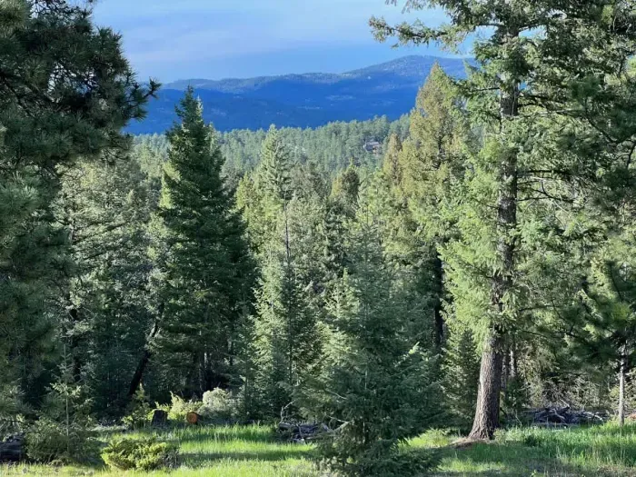 Clear day from inside