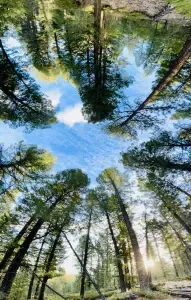Look up and relax!