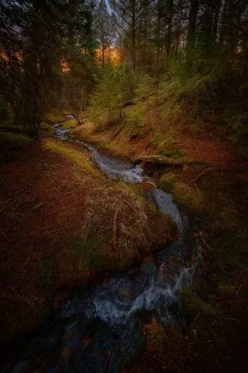 You can hear the creek for about half the year.