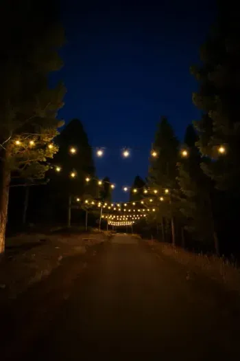 Driveway lit up at night