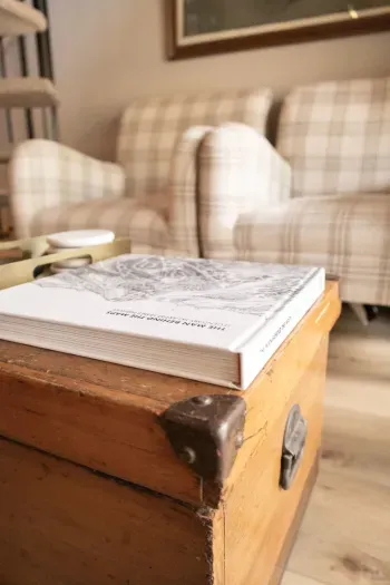 Charming reading nook with rustic textures and natural light.