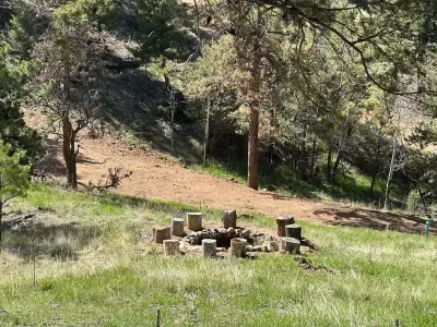 Large outdoor firepit surrounded by trees.