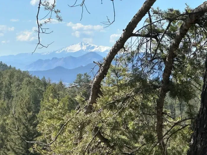 Panoramic view of Pikes Peak and forest.