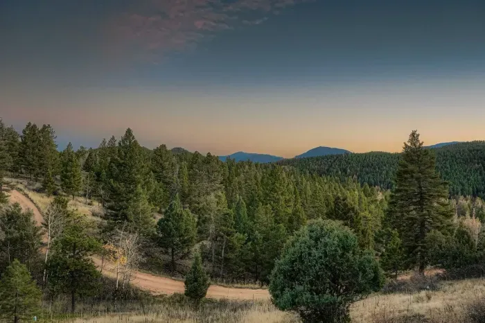 Expansive backyard surrounded by pines and mountain scenery.