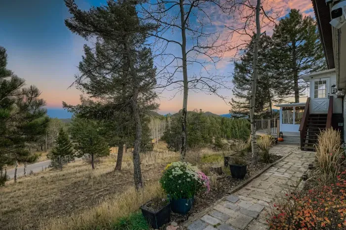 Scenic exterior walkway surrounded by pines and natural landscaping.
