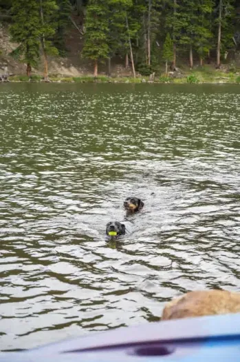 Spend the day playing outside