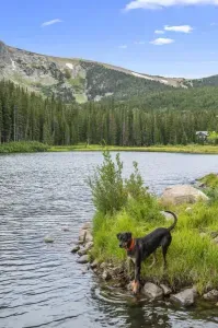 Spend the day playing outside and embrace the beauty of nature! Whether it's hiking, biking, or simply enjoying the fresh air, outdoor adventures await. Perfect for families and thrill-seekers alike, enjoy endless fun in a vibrant, natural setting. M
