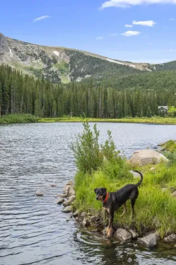 Spend the day playing outside and embrace the beauty of nature! Whether it's hiking, biking, or simply enjoying the fresh air, outdoor adventures await. Perfect for families and thrill-seekers alike, enjoy endless fun in a vibrant, natural setting. M