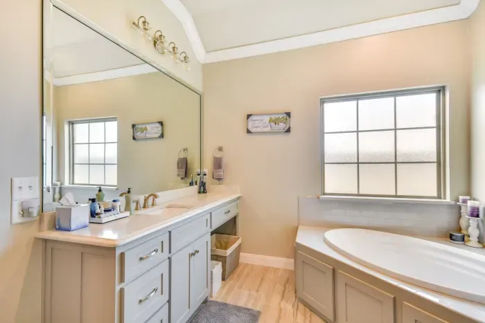 Spa-inspired bathroom with soaking tub and bright lighting.