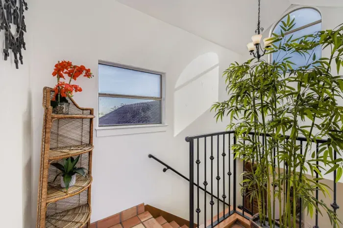 Stairway with indoor plants.