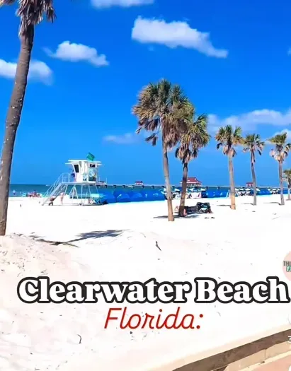 Fun things all around!