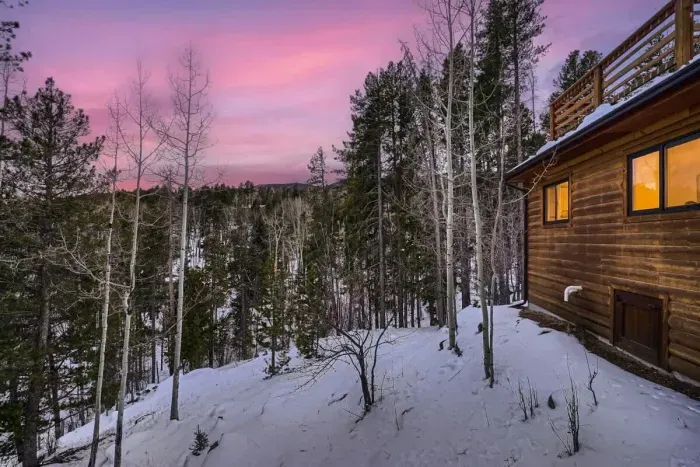 Majestic quiet forest setting