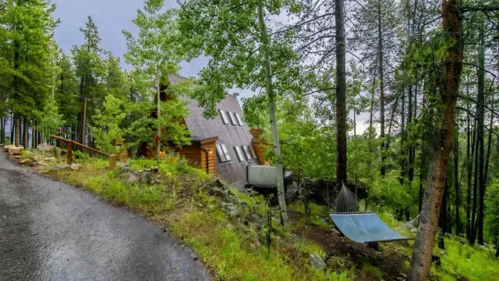 Heavily wooded backdrop