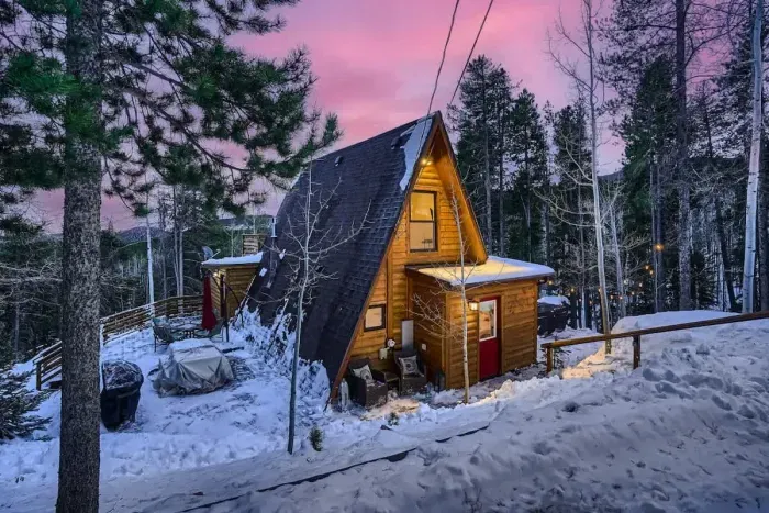 Whole cabin nestled in the mountain woods