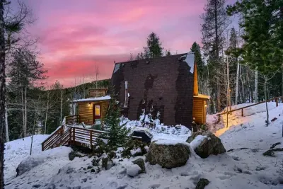 Majestic quiet forest setting