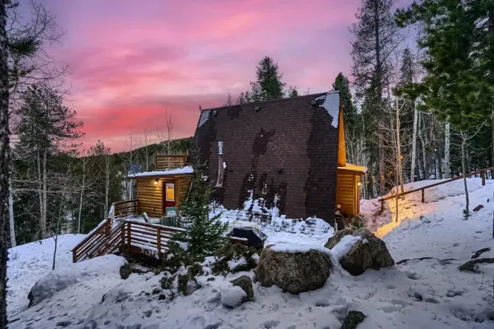 Majestic quiet forest setting