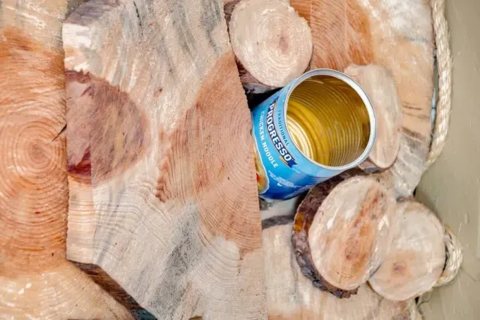 Every treehouse must have a Progresso soup can!! Maybe back in the days it was Cambells!