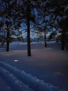 Fairy lights during winter