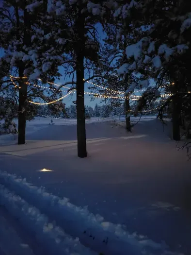 Fairy lights during winter