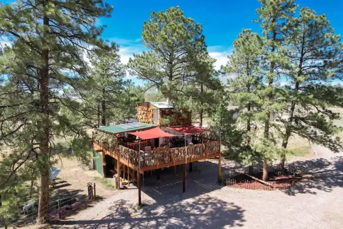 PAL (Pine Tree Actually Living) goes right through the center of the treehouse.