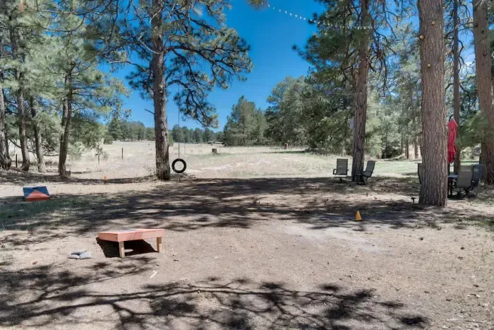 Cornhole and horseshoes and a tireswing to boot!