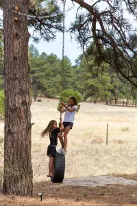 1 of 2 tire swings