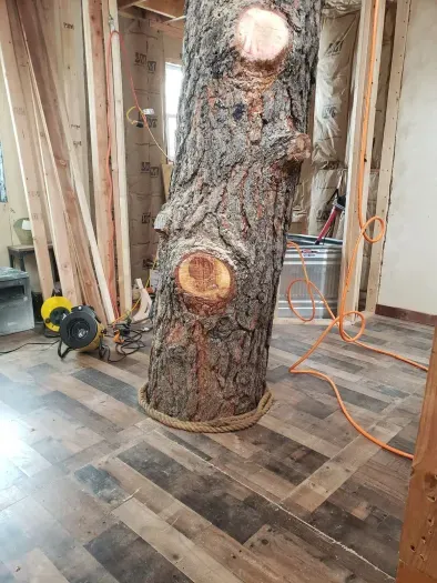 PAL! Right through the center of the house!