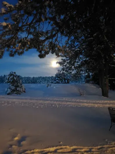 Winter at Treehouse Magic is truly magical!!