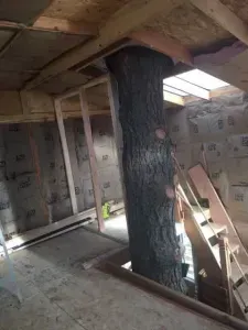 Inside the bedroom